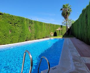 Swimming pool of Flat to rent in  Córdoba Capital  with Air Conditioner