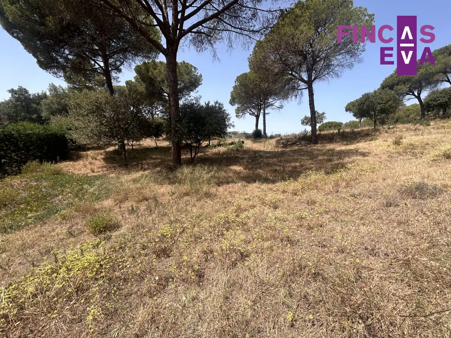 Rural land for sale in Vallromanes - CL SANT ANDREU, imagen 10