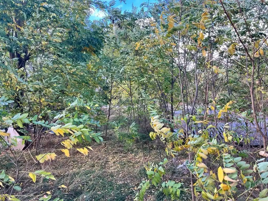 Terreno en venta en Puigcerdà