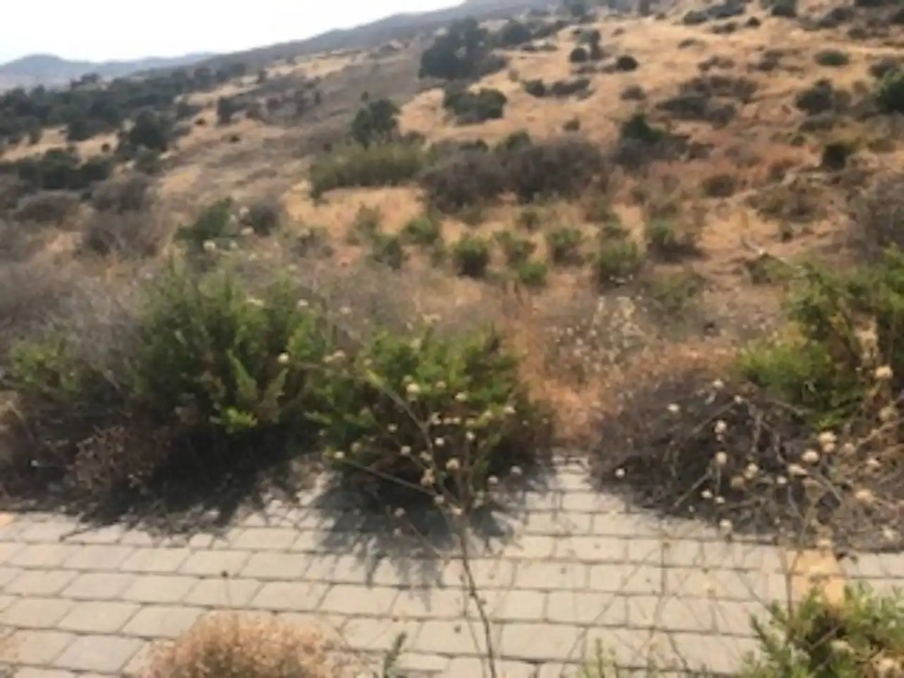 Industrial land for sale in Estepona