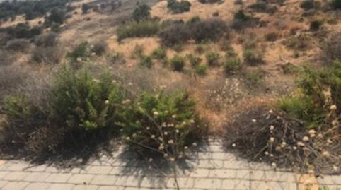 Foto 5 de Terreny industrial en venda a Los Pedregales, 213, Altos de Estepona, Málaga