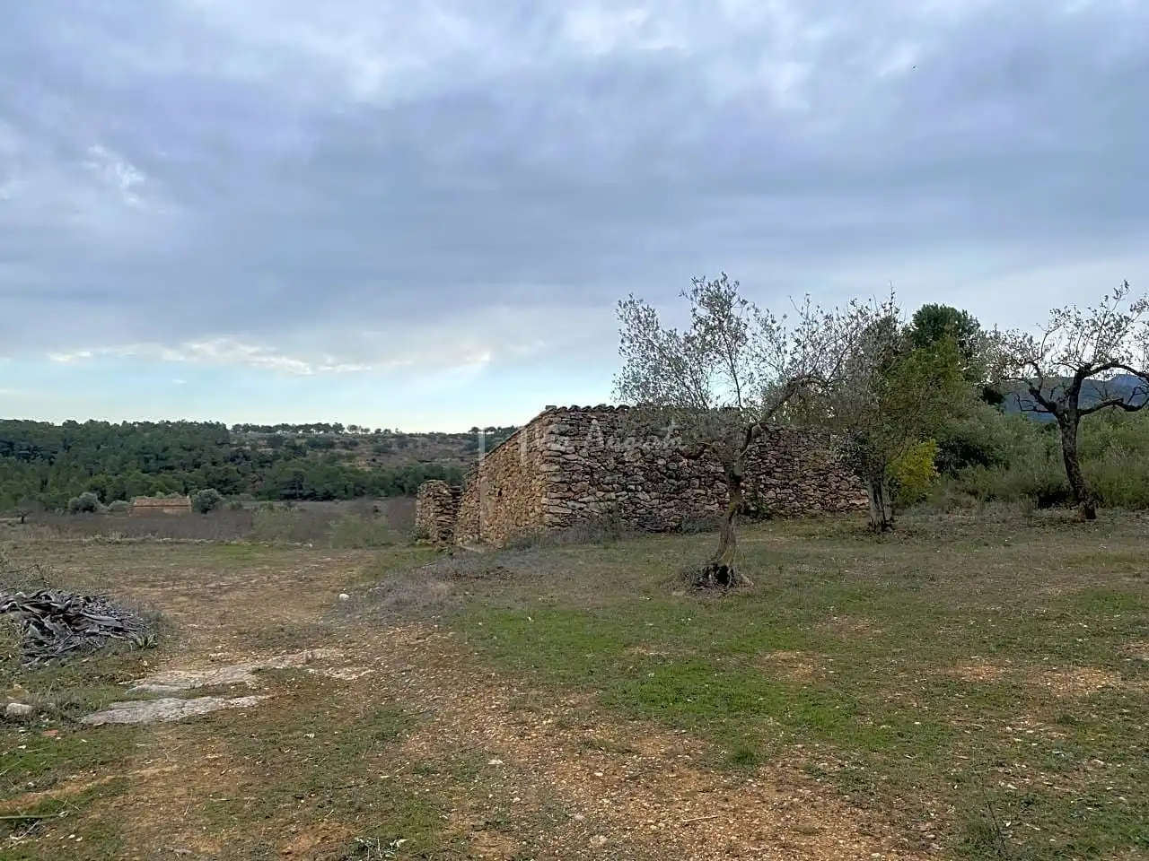 Terrain rustique à vendre à PLANELLES, imagen 14