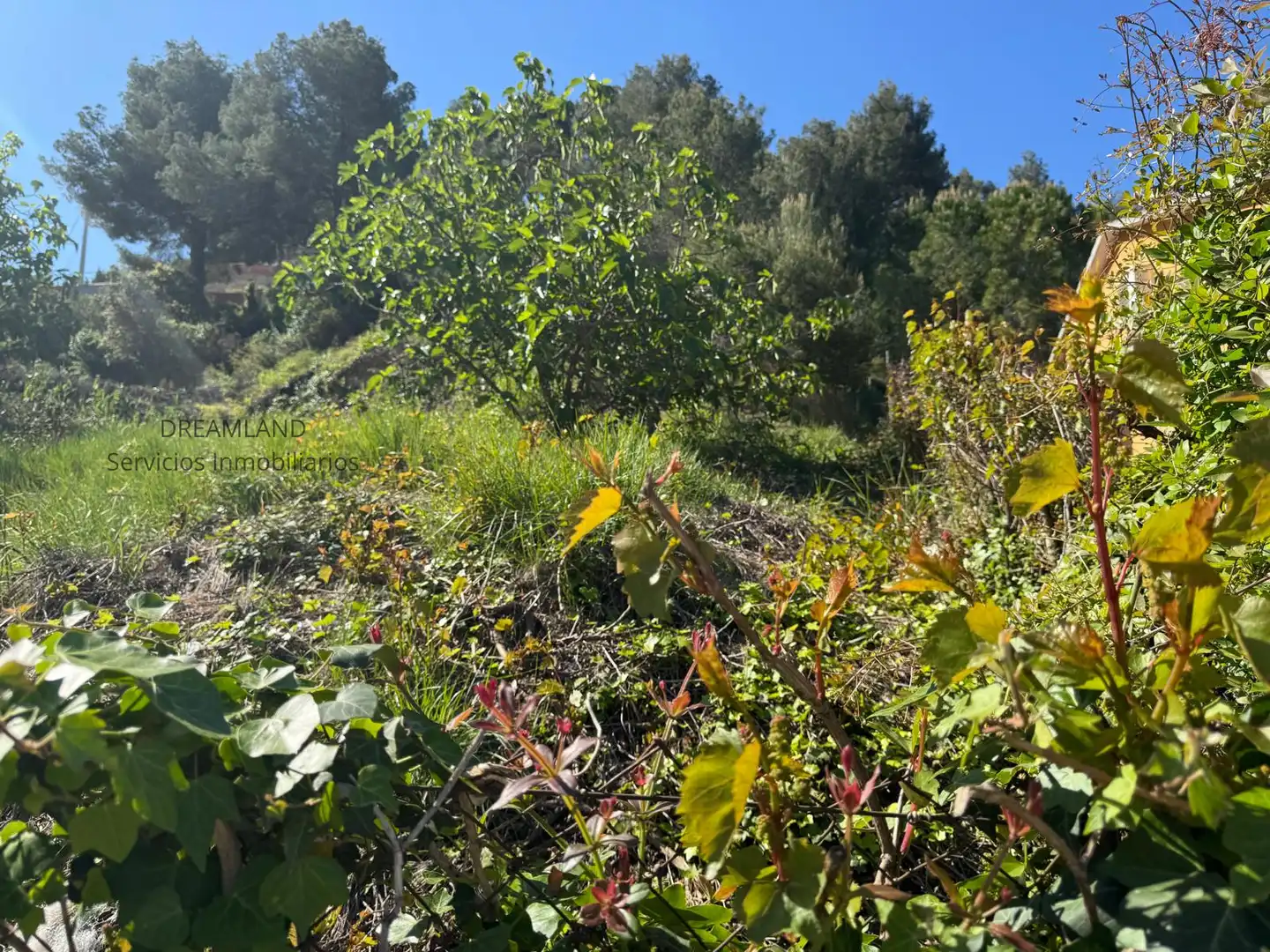 Terreno rustico in vendita a Piera, imagen 4
