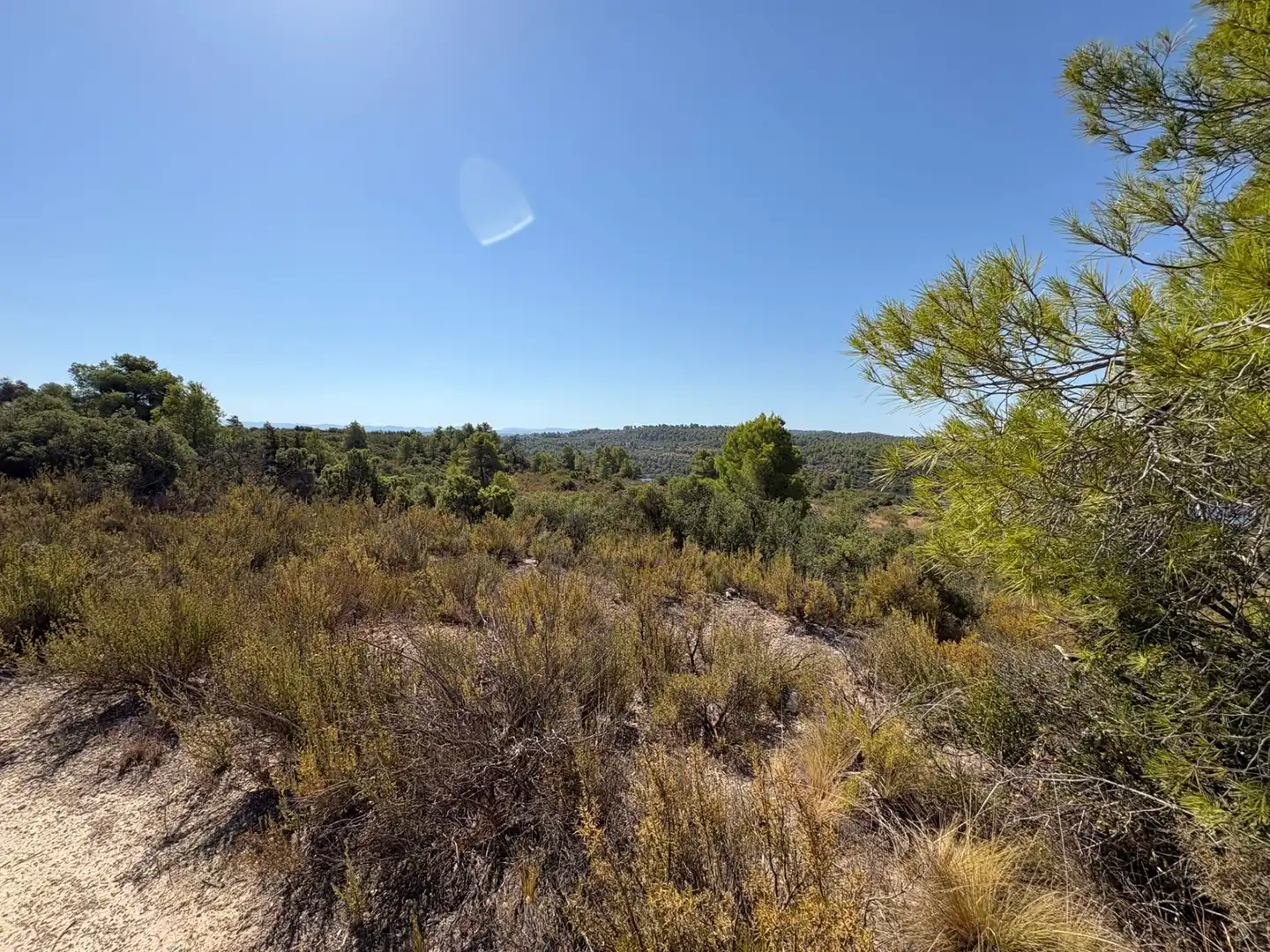 Terreno rustico in vendita a Cervià de Les Garrigues, imagen 18