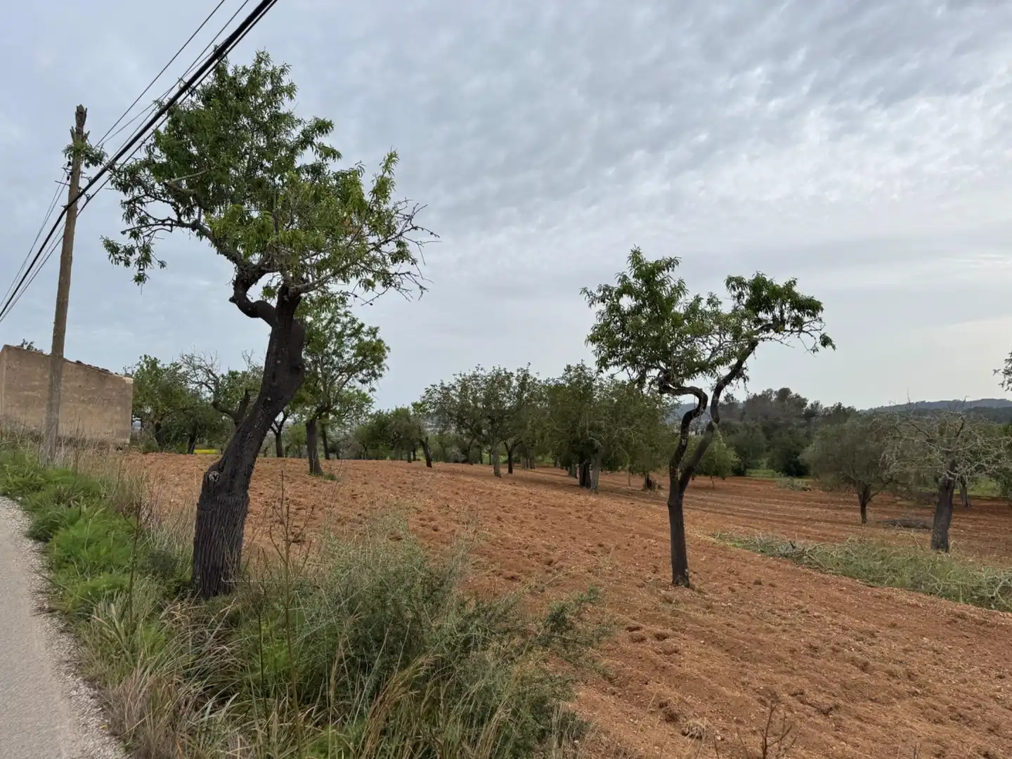 Rustikales Grundstück zum Verkauf in Camino Camí Vell de Porreres 2, imagen 23