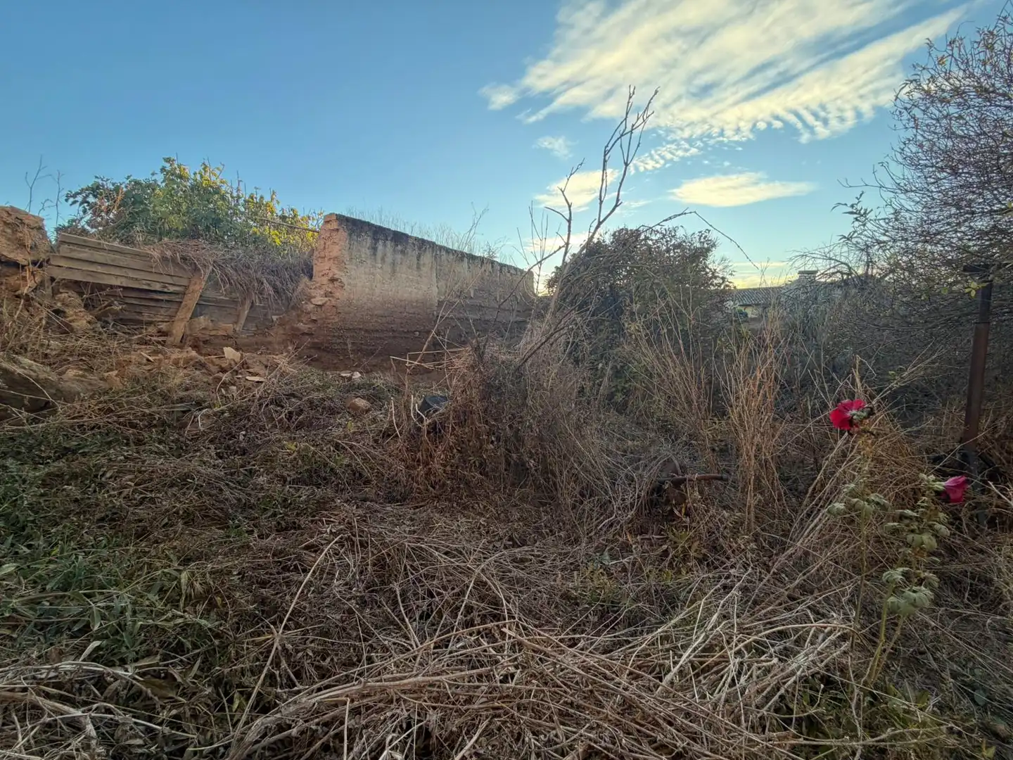 Houses for sale in Meneses de Campos
