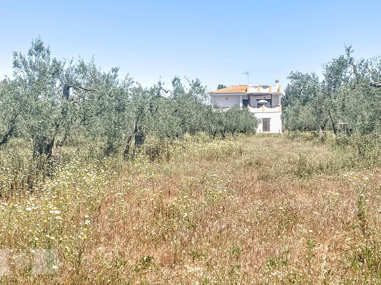 Casa rústica en venda a Almonte ciudad, imagen 29
