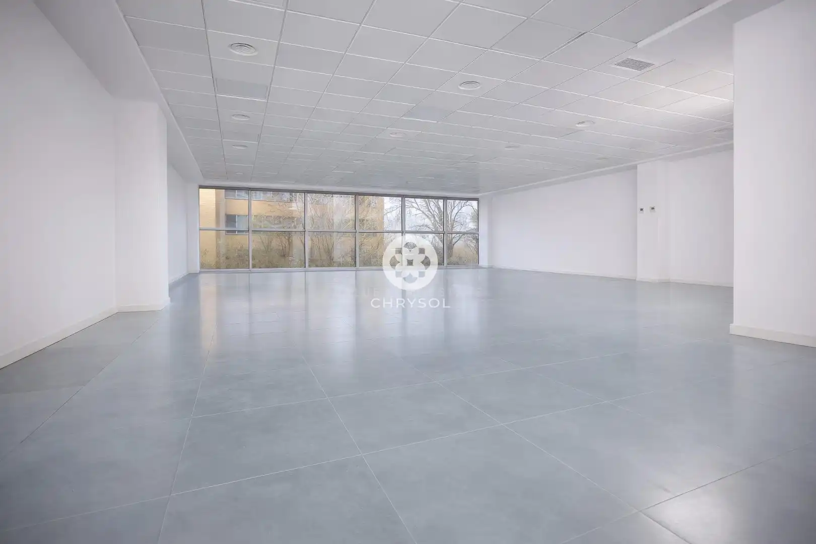 Office space with lift for sale in Avenida Avinguda Corts Catalanes, imagen 4