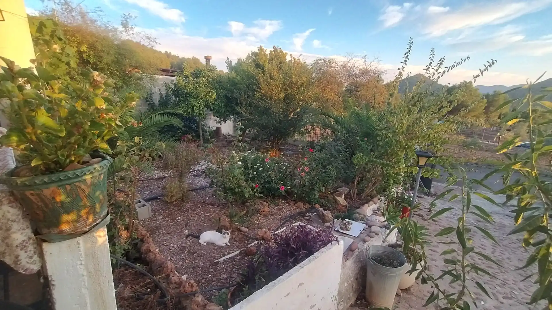 Casa rústica con piscina en venta en N/A, imagen 6