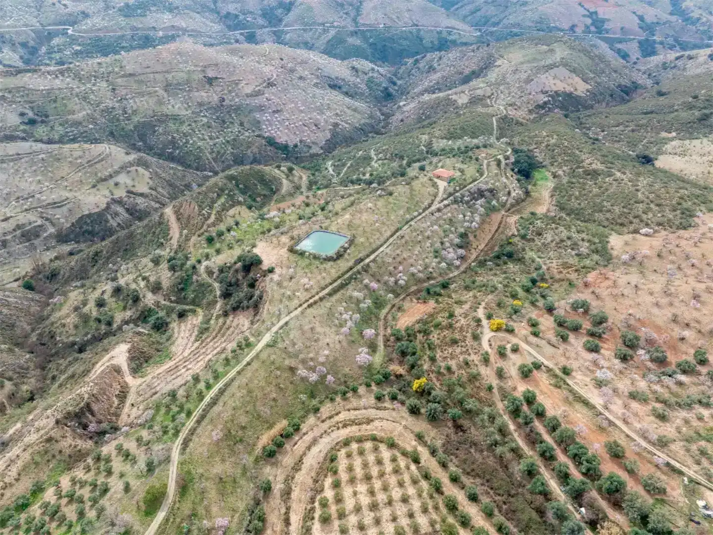 Finca rústica en venda en Cádiar