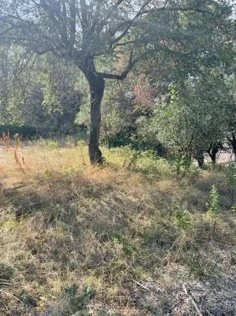 Terreno residenziale in vendita a Taradell, imagen 5