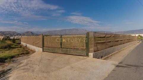 Photo 4 of Land for sale in Camino Patria, Motril, Spain, -1, Playa de Granada, Granada