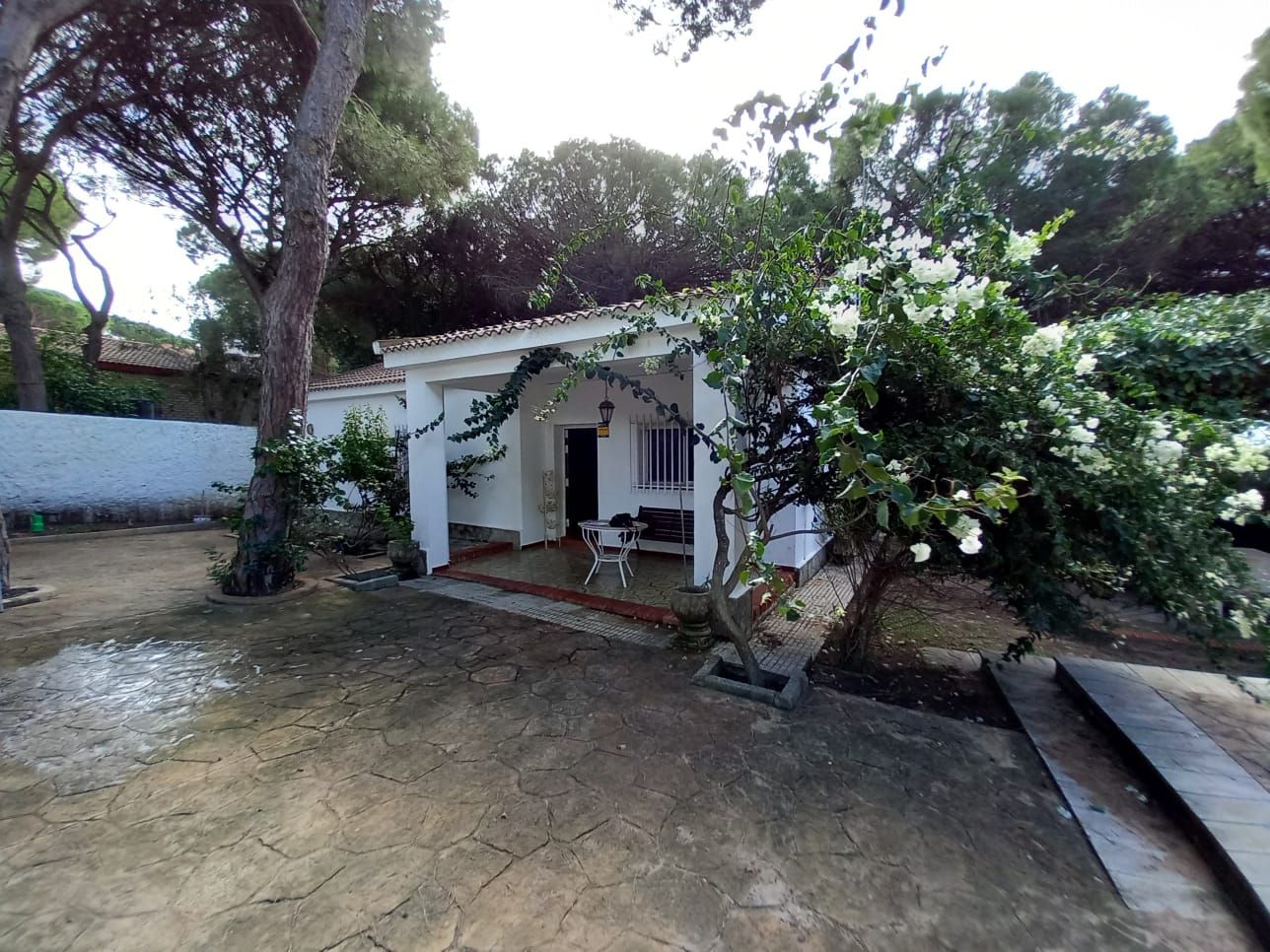 Jardín de Casa o chalet en venta en Chiclana de la Frontera con Jardín privado, Trastero y Piscina