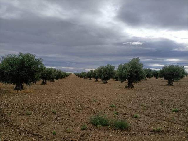 Terreno en Venta en Chueca
