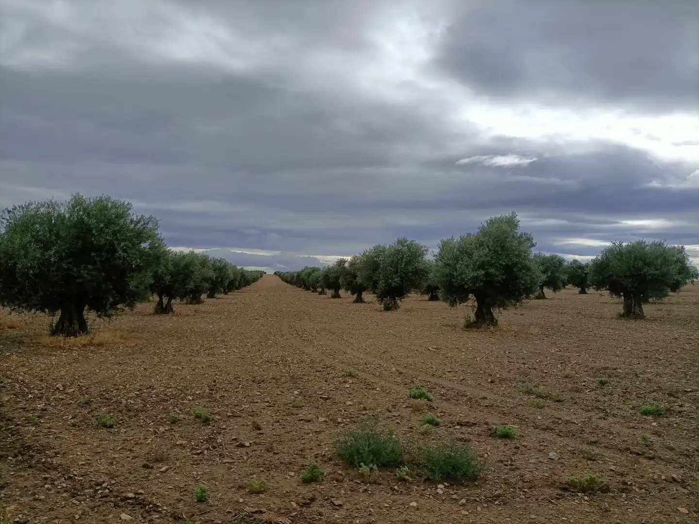 Terreno rustico in vendita a Chueca