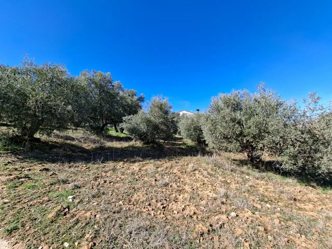 Lands and plots for sale in Calle Río Tajuña 1676, imagen 20