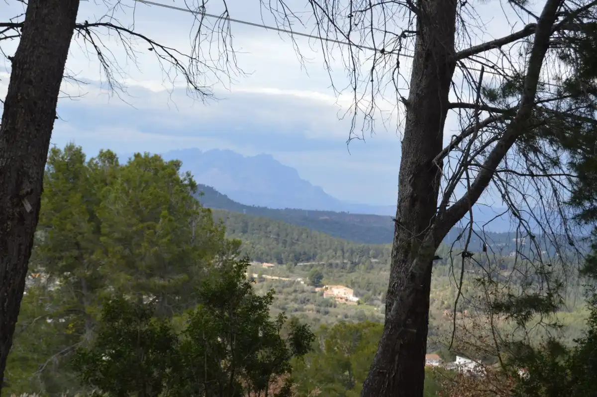 Terreni e lotti in vendita a Corbera de Llobregat, imagen 23