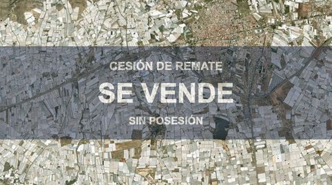 Foto 3 de Piso en venta en Ejido Sur, El Ejido