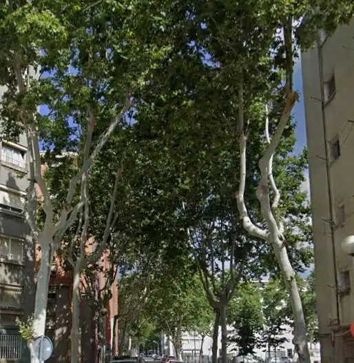 Wohnung mit Terrasse zum Verkauf in MARQUES DE MONTROIG
