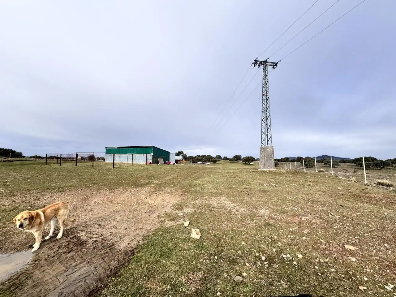 Terreno en venta en Cillán