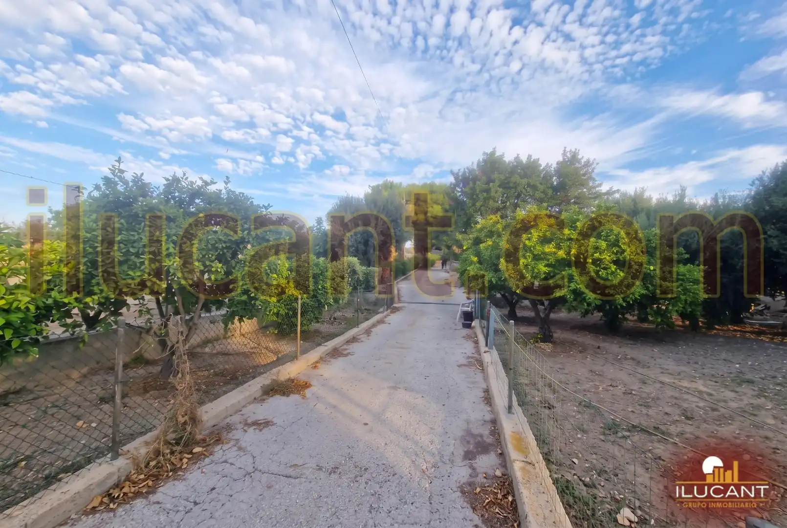 Villa avec piscine à vendre à Campello pueblo, imagen 30