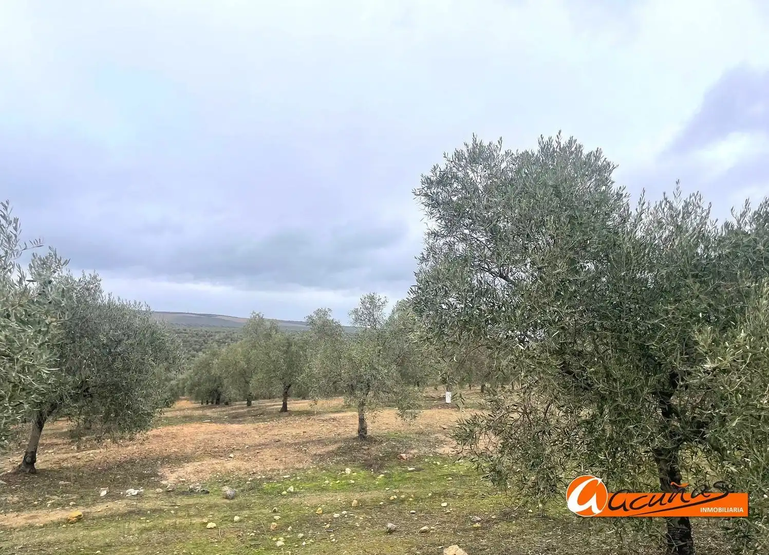 Terrenos y solares en venta en Alameda, imagen 50