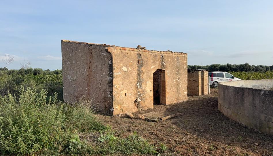 Foto 1 de Finca rústica en venda a L'Arboç, Tarragona