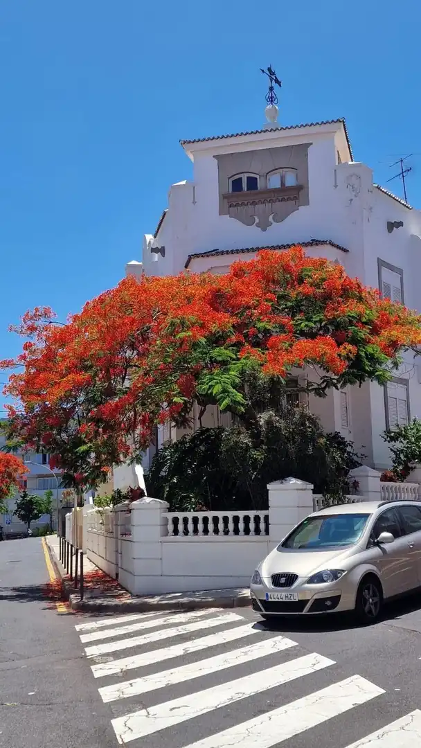 Exterior view of Houses for sale in  Santa Cruz de Tenerife Capital  with Private garden and Terrace