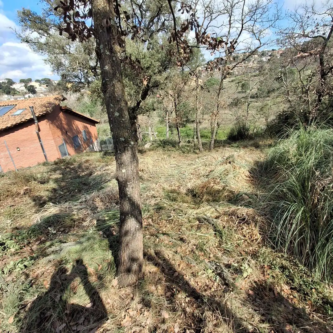Terrenys i solars en venda a Maçanet de la Selva pueblo, imagen 8