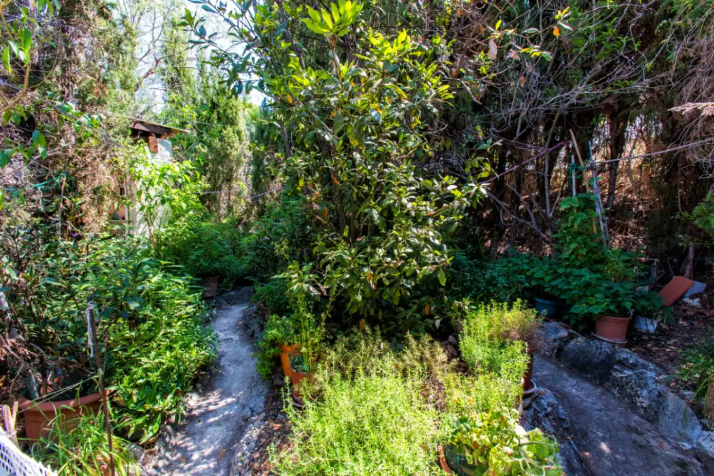 Maison avec jardin à vendre à Canuta, imagen 11