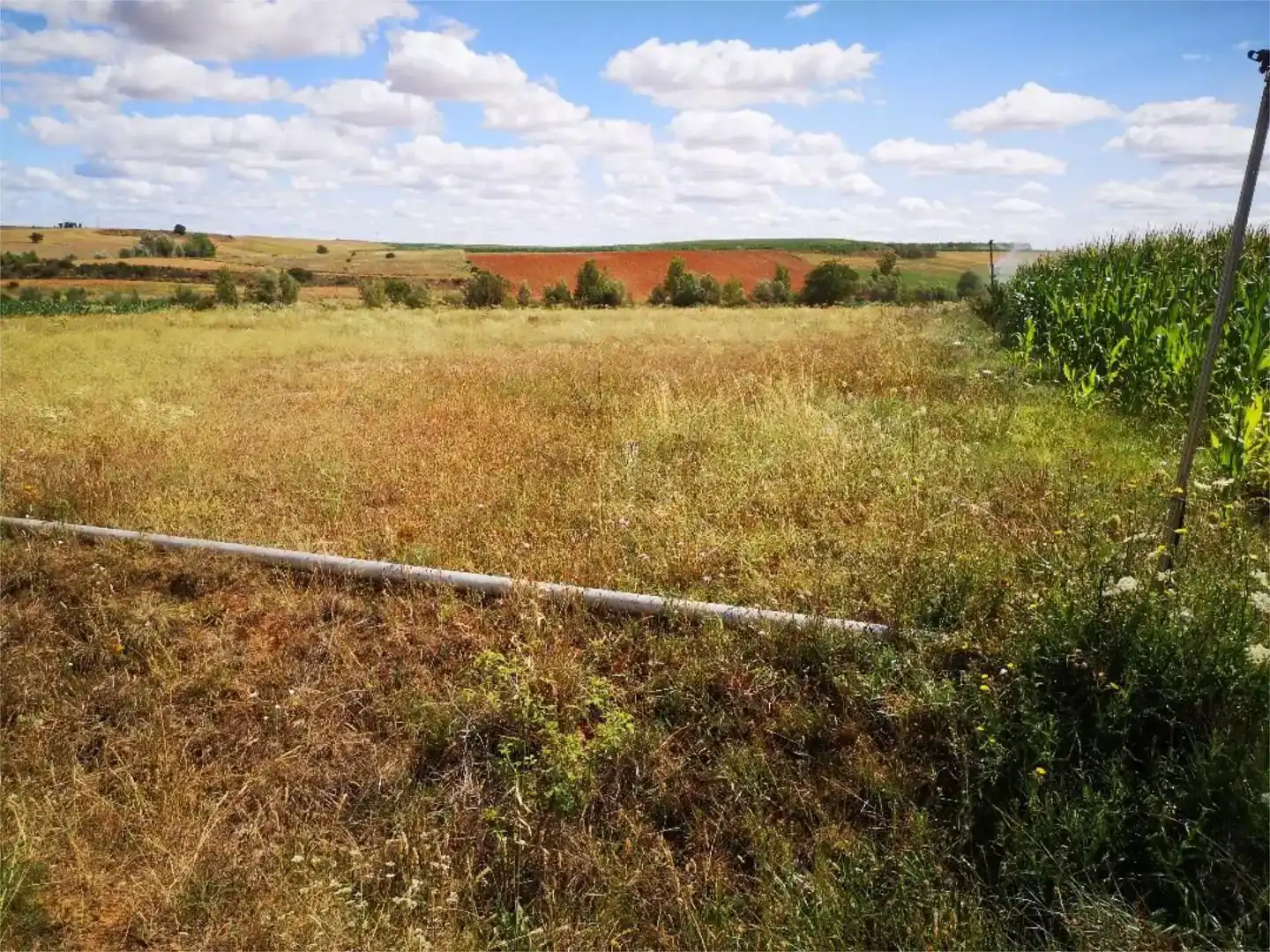 Terreno en venta en Pajares de los Oteros, León