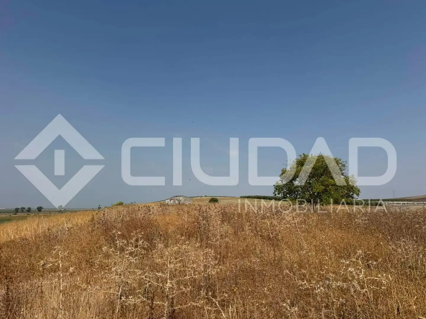 Lands and plots for sale in Lebrija, imagen 6