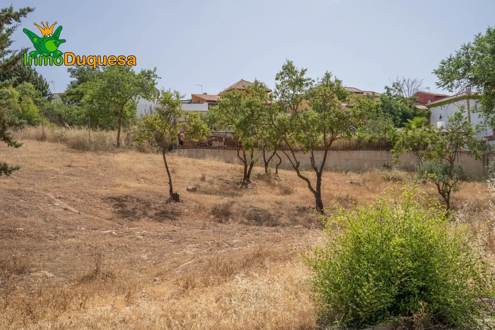Terreni e lotti in vendita a Villa de Otura, imagen 33