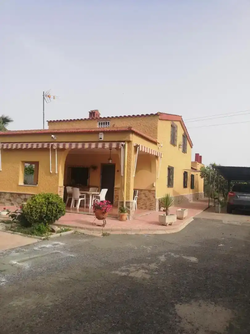 Vista exterior de Casa o xalet en venda en Elche / Elx amb Aire condicionat i Piscina