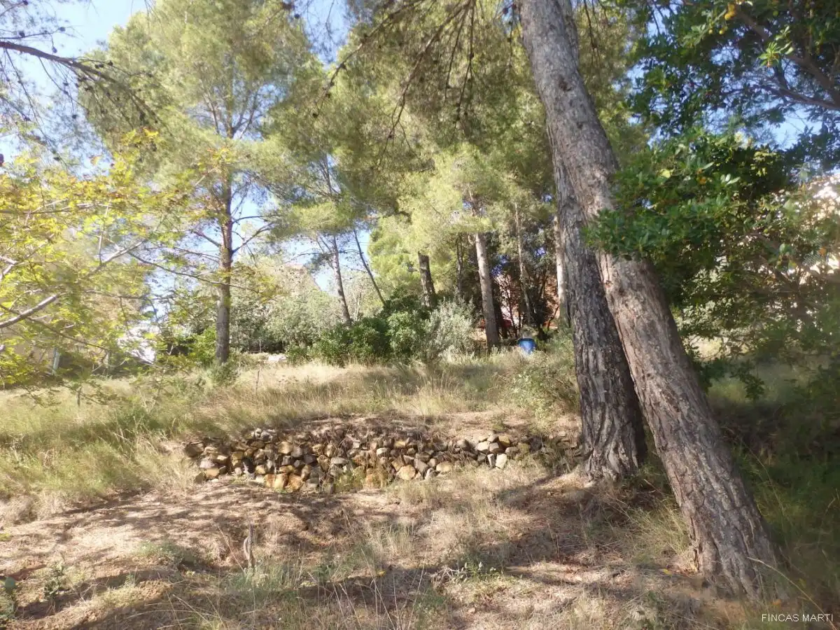 Terreno residenziale in vendita a Riudecanyes, imagen 11