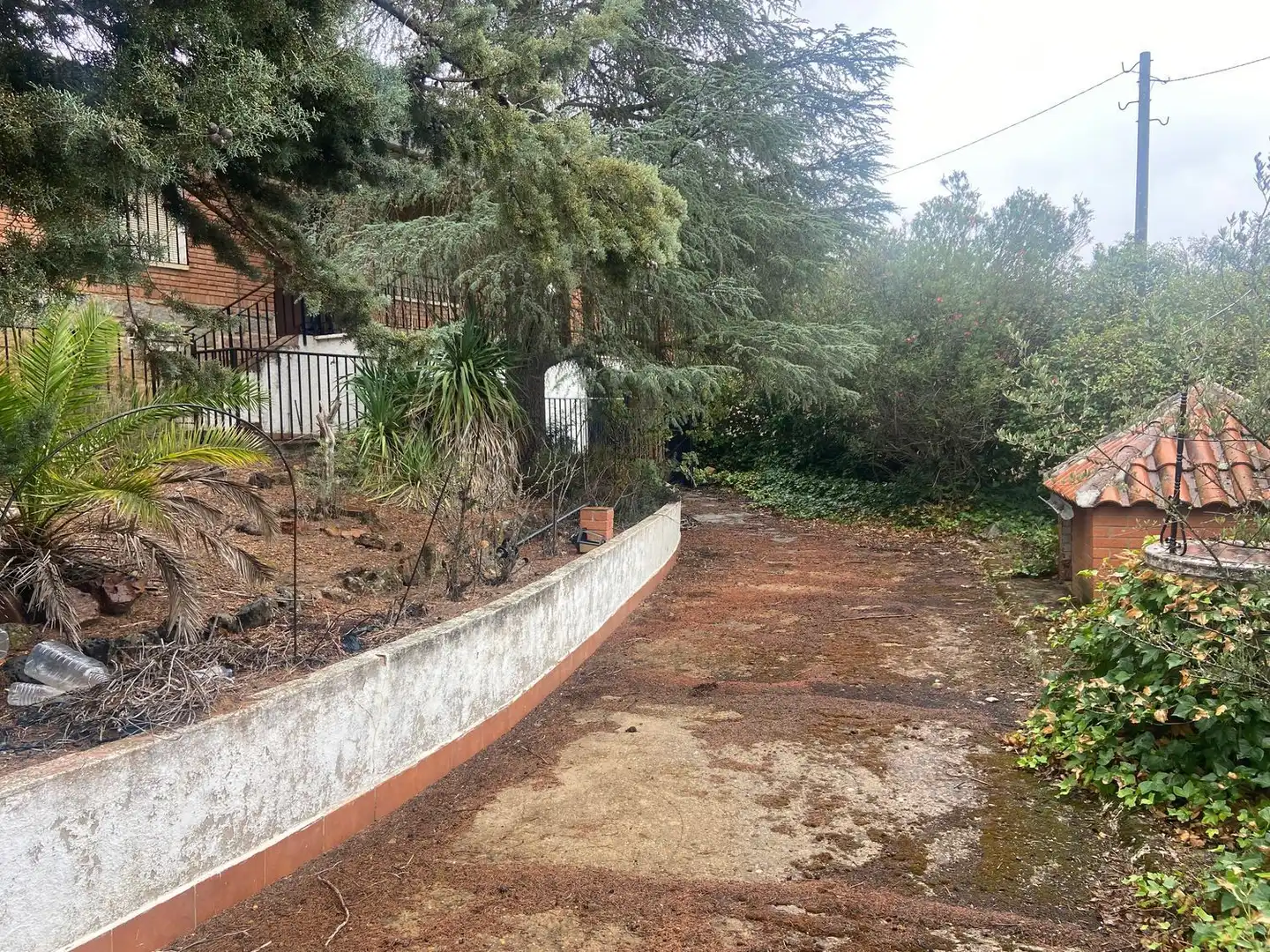 Jardí de Casa o xalet en venda en Piedrabuena amb Aire condicionat, Calefacció i Jardí privat