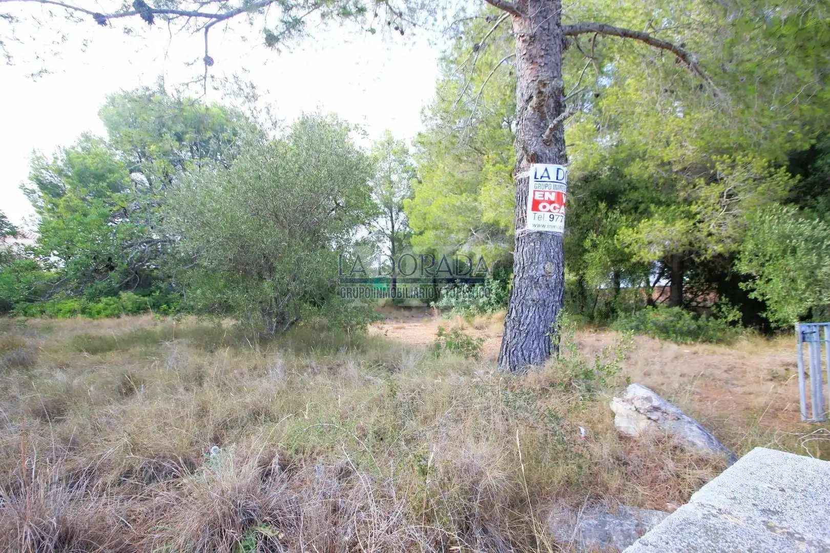 Terreny residencial en venda a Platja de Mont-roig, imagen 10