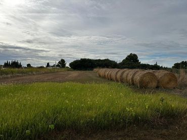 Rustikales Grundstück zum Verkauf in Albatàrrec