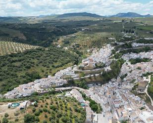 Exterior view of Land for sale in Setenil de las Bodegas