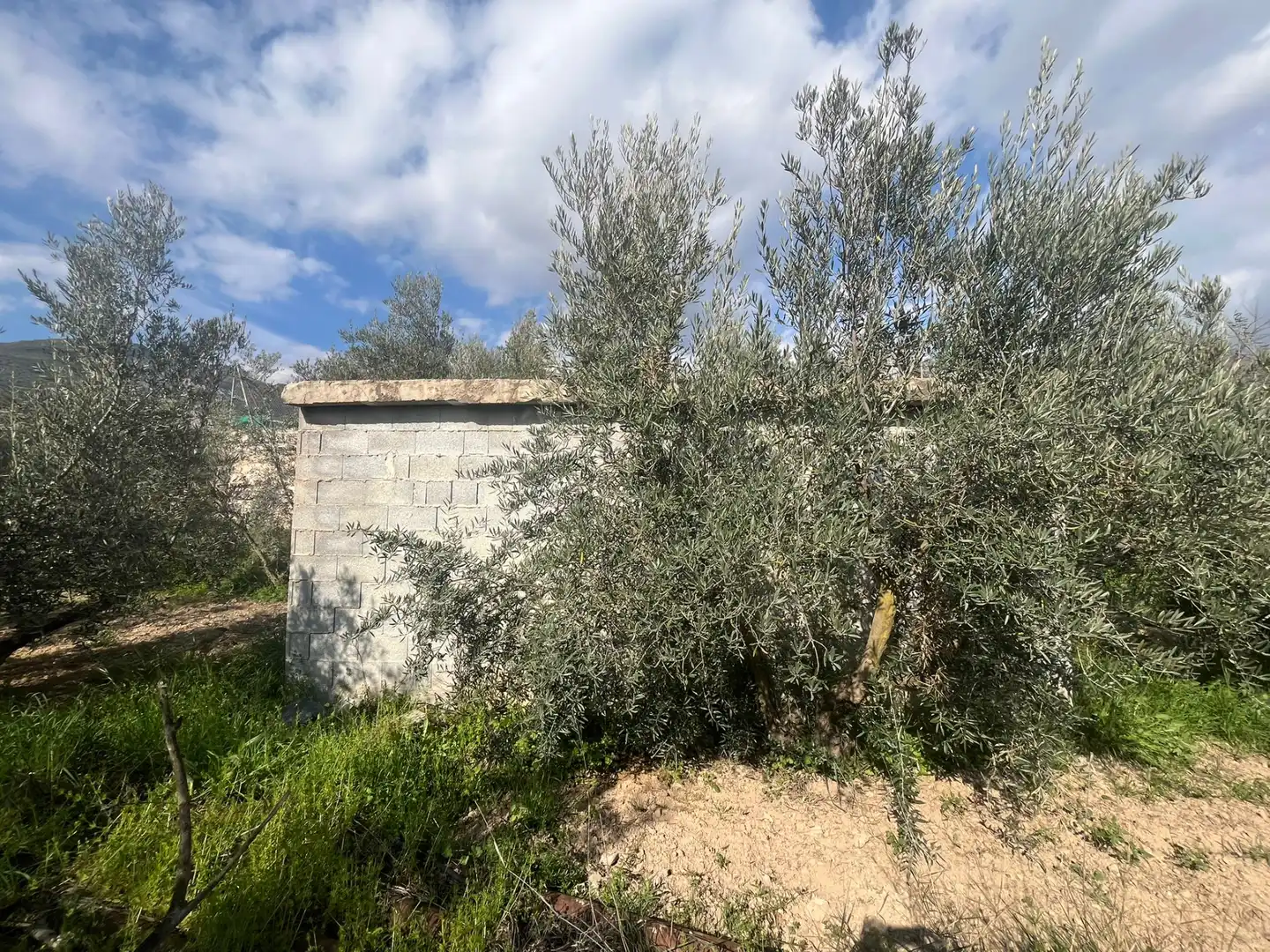 Land for sale in Dúrcal