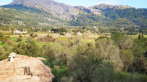 Foto 3 de Finca rústica en venta en Pollença Poble, Pollença