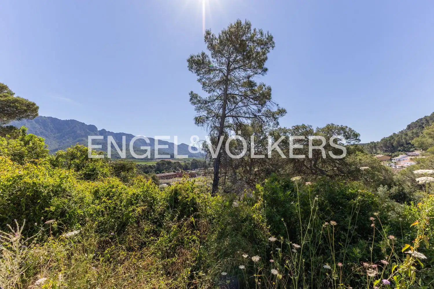 Residencial en venda en Carcaixent