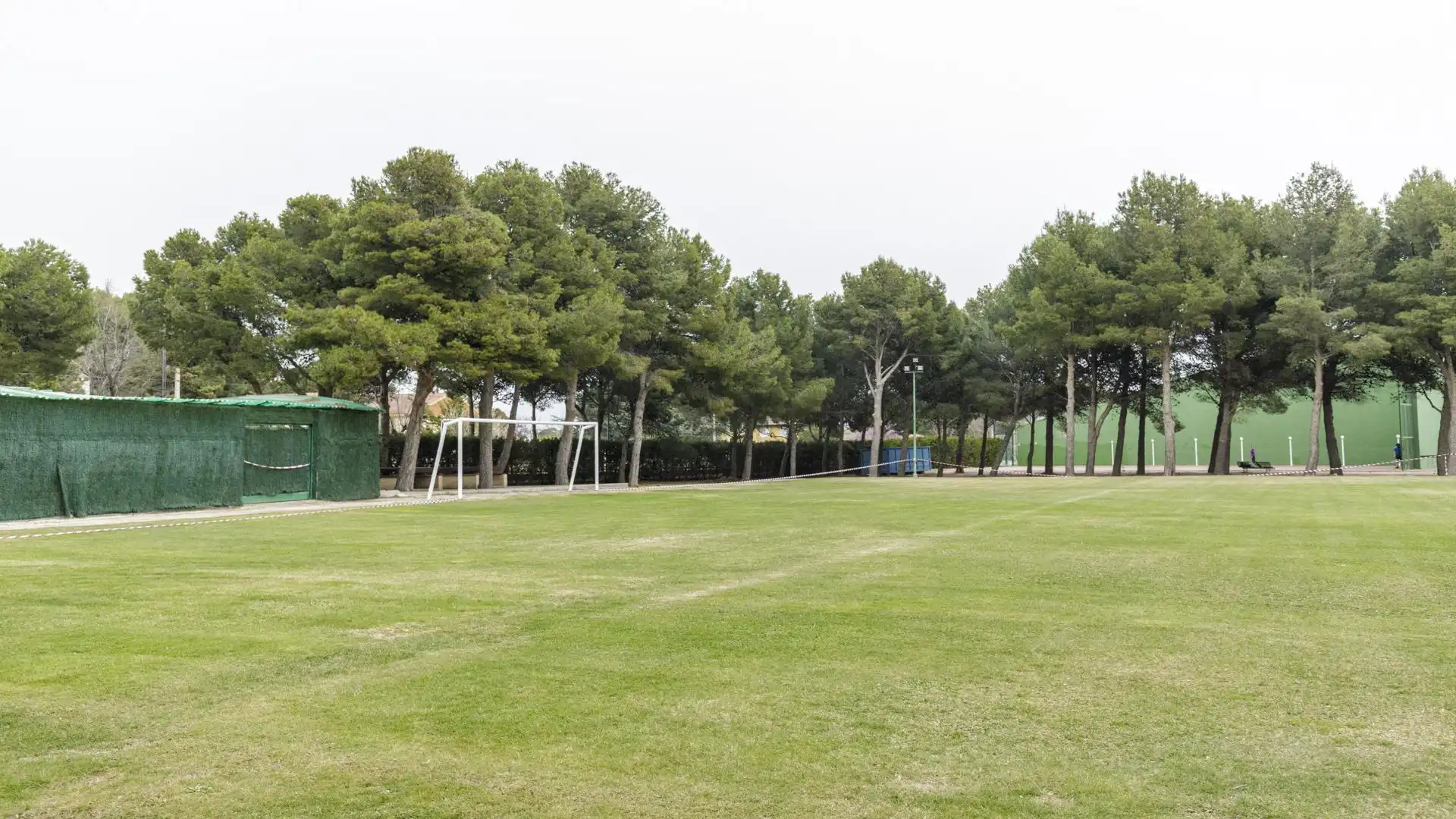 Garden of Houses for sale in La Muela