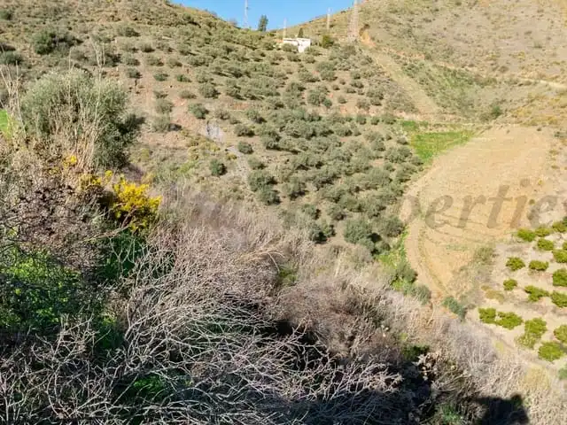 Terreni e lotti in vendita a Torrox Pueblo, imagen 4
