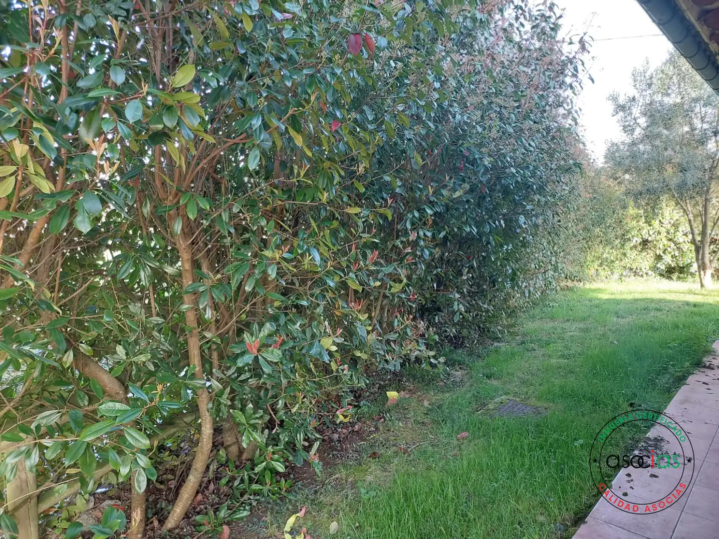 Jardí de Casa o xalet en venda en Parres amb Calefacció, Jardí privat i Terrassa