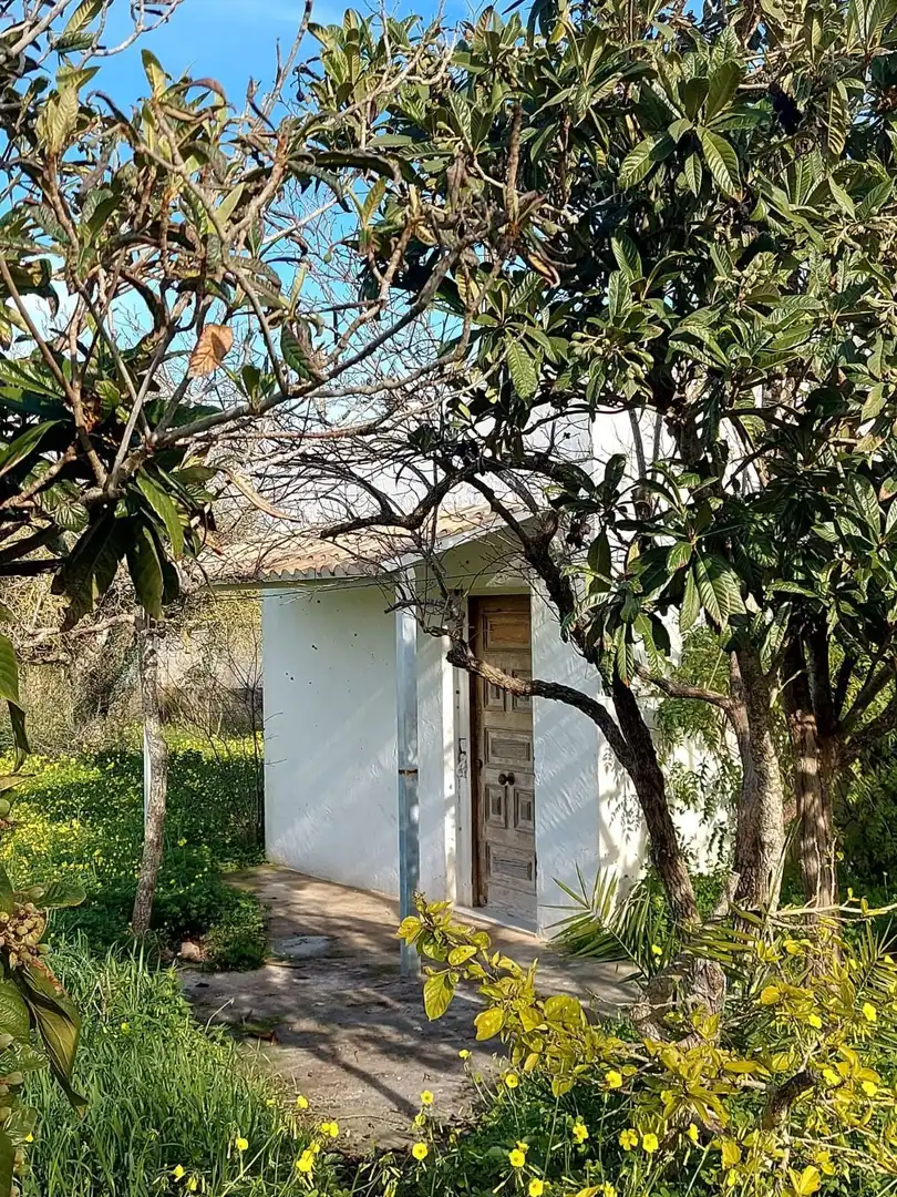 Terreny rústic en venda a Carretera Eivissa-Sant Antoni 18237, imagen 3