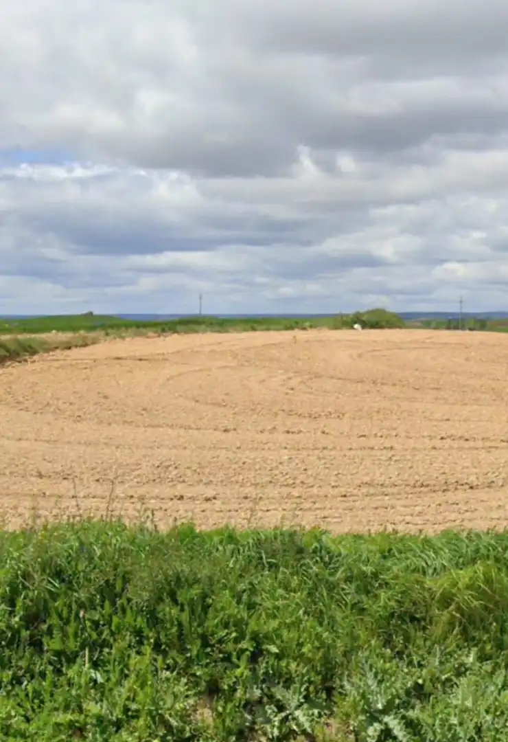Land for sale in Morón de Almazán