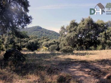Terrenos y solares en venta en Casco Antiguo