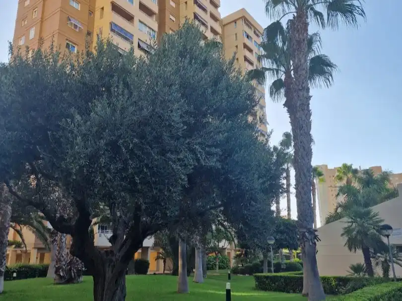 Exterior view of Flat for sale in Playa Muchavista