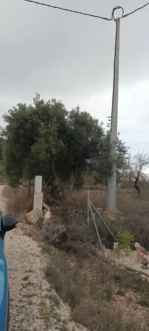 Terreno rustico in vendita a Calle Hondon de las Nieves, imagen 9